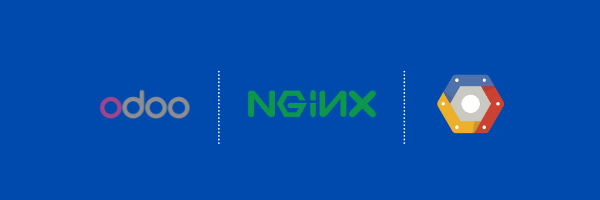 Setup Nginx as a reverse proxy for sub-domain with Odoo (OpenERP) on Google Cloud Platform